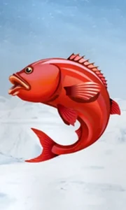 Ice Fishing